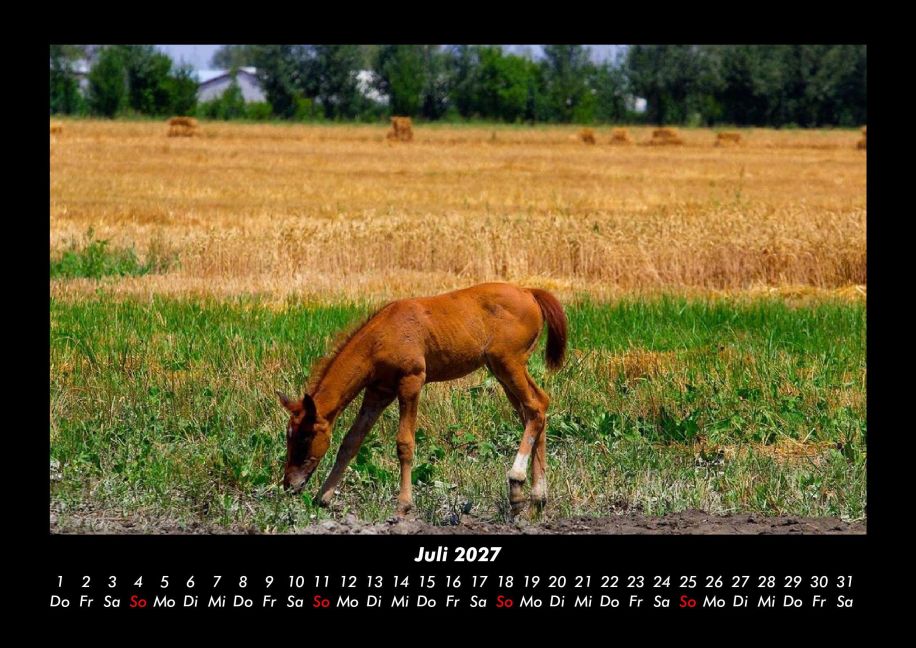 InsideView 11