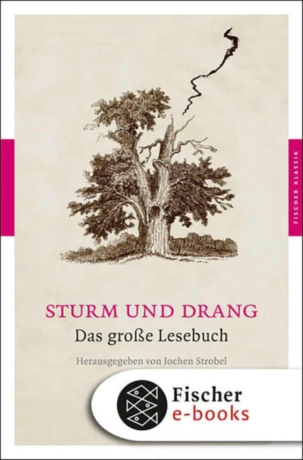 Sturm und Drang - 