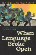 Cover-Bild zum Titel 'When Language Broke Open' von ''
