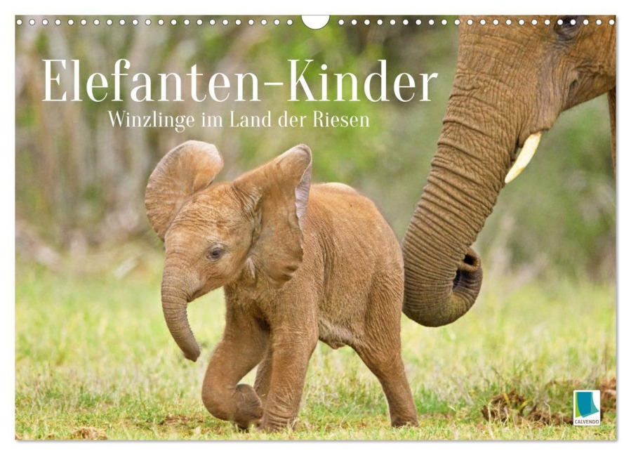 Elefantenkinder: Winzlinge im Land der Riesen (Wandkalender 2026 DIN A3 quer), CALVENDO Monatskalender - Calvendo Calvendo