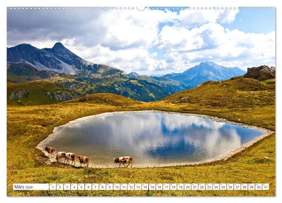 InsideView 7