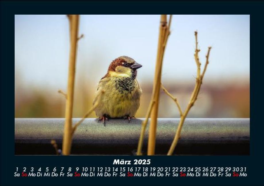InsideView 7