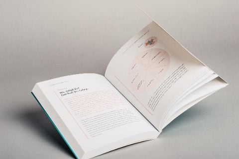 InsideView 10