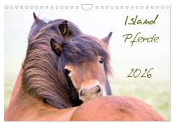 Islandpferde (Wandkalender 2026 DIN A4 quer), CALVENDO Monatskalender - Frauke Gimpel