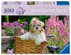 Cover-Bild zum Titel 'Erwachsenenpuzzle 100 XL-Teile - Süßer kleiner Hund' von ''