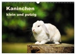 Cover-Bild zum Titel 'Kaninchen klein und putzig (Wandkalender 2027 DIN A3 quer), CALVENDO Monatskalender' von 'Yvonne Janetzek'