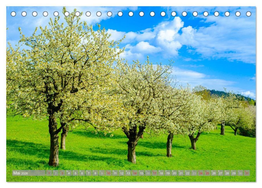 InsideView 10
