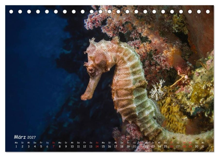 InsideView 8