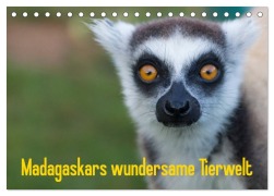 Cover-Bild zum Titel 'Madagaskars wundersame Tierwelt (Tischkalender 2027 DIN A5 quer), CALVENDO Monatskalender' von 'Antje Hopfmann'