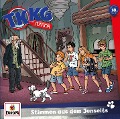 Cover-Bild zum Titel 'Folge 18: Stimmen aus dem Jenseits' von 'TKKG Junior'