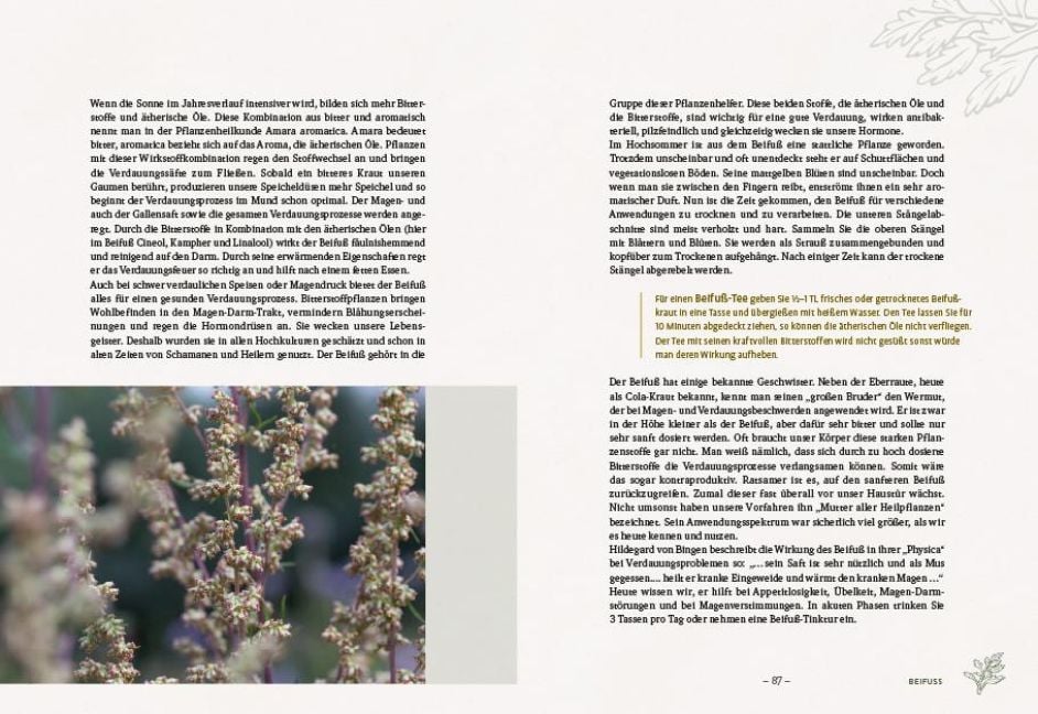 InsideView 5
