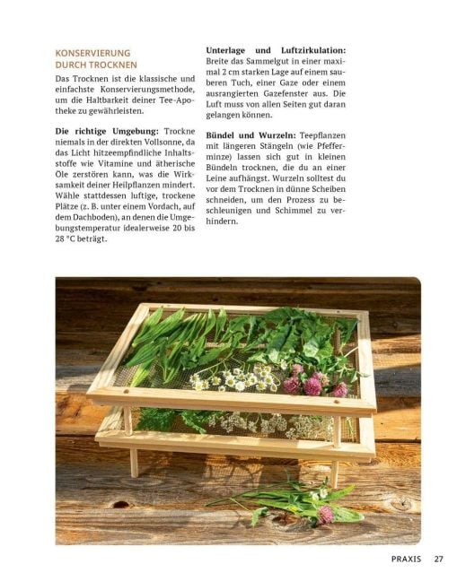 InsideView 7