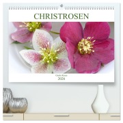 Cover-Bild zum Titel 'Christrosen (hochwertiger Premium Wandkalender 2026 DIN A2 quer), Kunstdruck in Hochglanz' von 'Gisela Kruse'