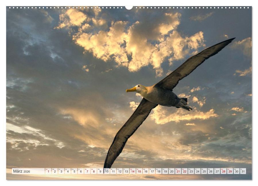 InsideView 7
