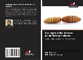 Cover-Bild zum Titel 'Ecologia della falena della farina indiana' von 'Md. Al Amin, Md. Mahbub Hasan'