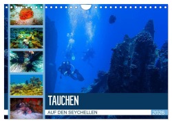 Cover-Bild zum Titel 'Tauchen auf den Sychellen (Wandkalender 2026 DIN A4 quer), CALVENDO Monatskalender' von 'Dirk Meutzner'