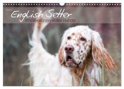 English Setter ¿ Impressionen edler Hunde (Wandkalender 2025 DIN A3 quer), CALVENDO Monatskalender - Visovio Visovio