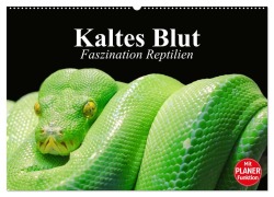 Kaltes Blut. Faszination Reptilien (Wandkalender 2025 DIN A2 quer), CALVENDO Monatskalender - Elisabeth Stanzer