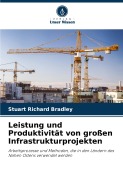 Leistung und Produktivität von großen Infrastrukturprojekten - Stuart Richard Bradley