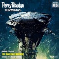 Cover-Bild zum Titel 'Terminus 5: Im Sonnenpalast' von 'Dietmar Schmidt'