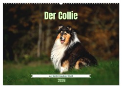 Cover-Bild zum Titel 'Der Collie der beste Hund der Welt (Wandkalender 2026 DIN A2 quer), CALVENDO Monatskalender' von 'Yvonne Janetzek'