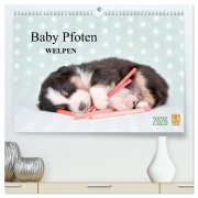 Cover-Bild zum Titel 'Baby Pfoten (hochwertiger Premium Wandkalender 2026 DIN A2 quer), Kunstdruck in Hochglanz' von 'Natalie Eckelt'