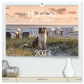 Hunde an der Nordsee (hochwertiger Premium Wandkalender 2024 DIN A2 quer), Kunstdruck in Hochglanz - Heidi Bollich