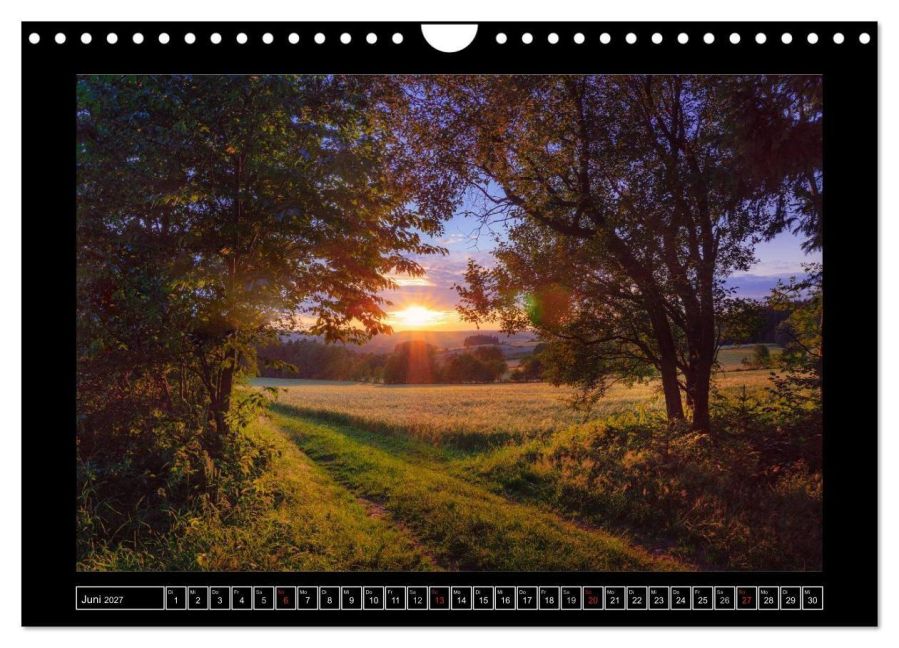 InsideView 11