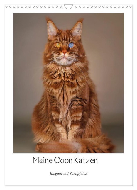Maine Coon Katzen. Eleganz auf Samtpfoten (Wandkalender 2027 DIN A3 hoch), CALVENDO Monatskalender - Thomas Siepmann
