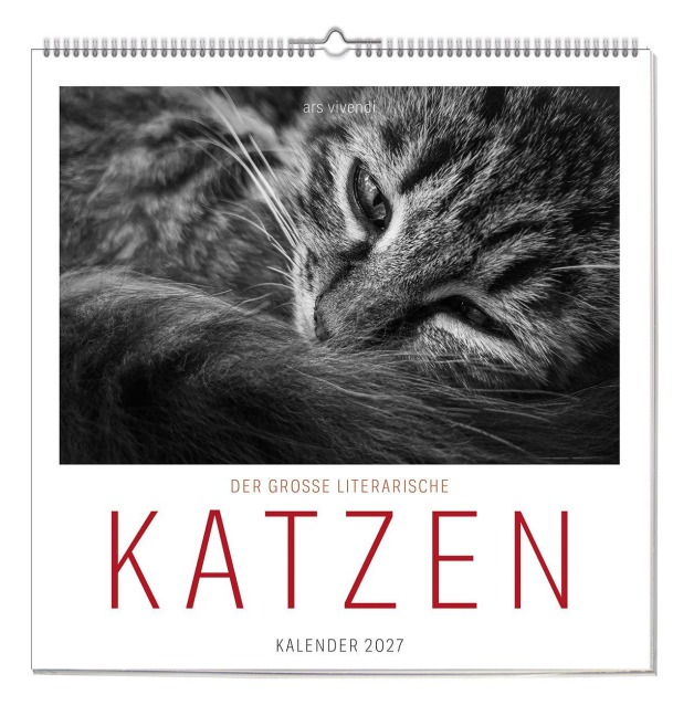 Der grosse literarische Katzen Kalender 2027 - 