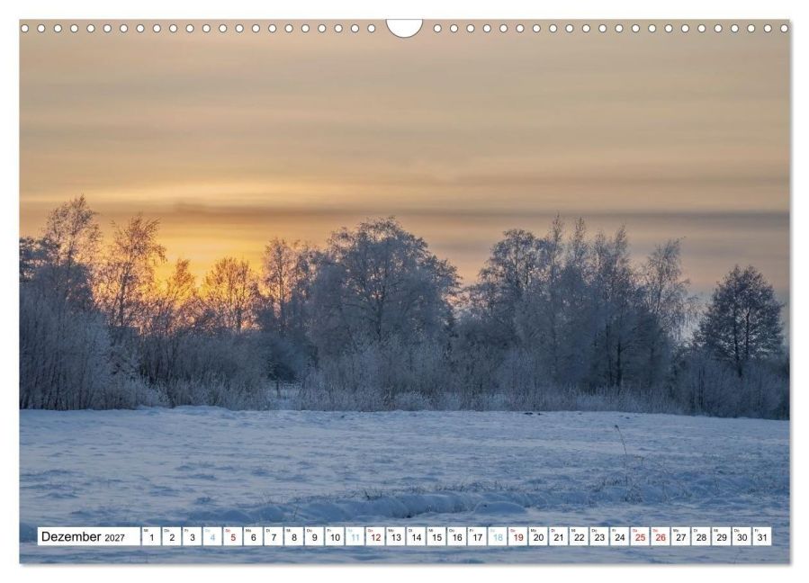 InsideView 4