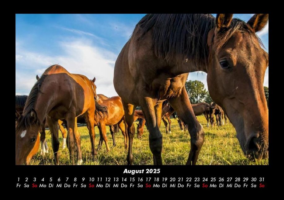 InsideView 12