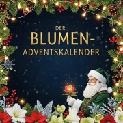 Cover-Bild zum Titel 'Der Blumen-Adventskalender' von 'Alexander Hofmann'