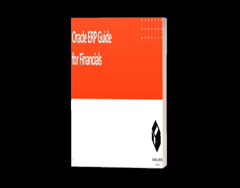 Oracle ERP Guide for Financials - Hyeongdo Kim