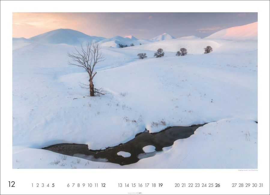 InsideView 12