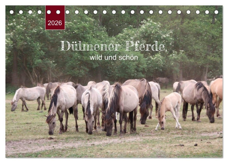 Dülmener Pferde, wild und schön (Tischkalender 2026 DIN A5 quer), CALVENDO Monatskalender - Angelika Keller