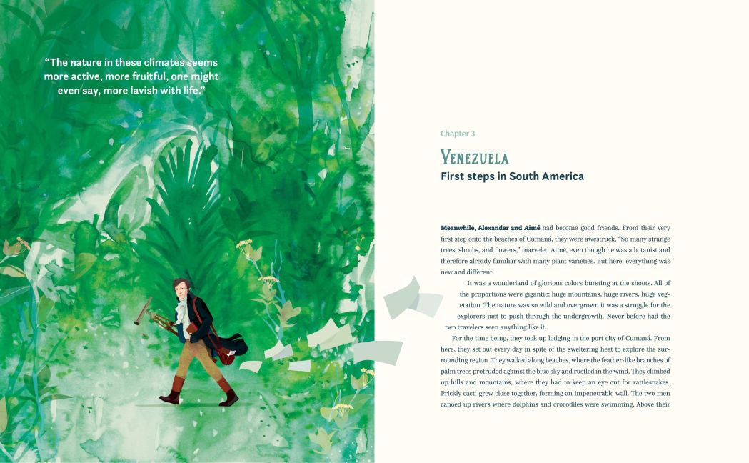 InsideView 3