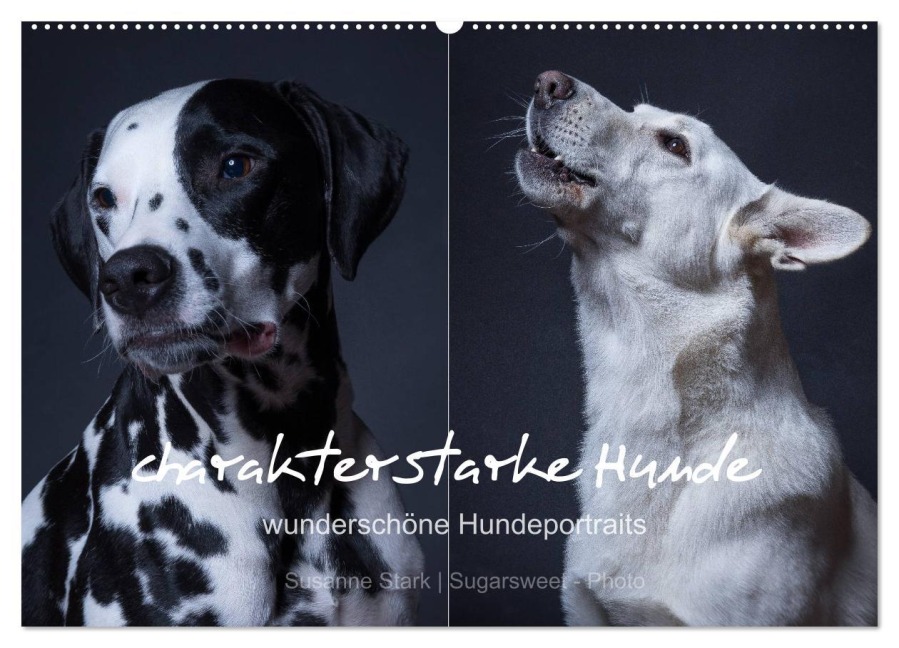 charakterstarke Hunde, wunderschöne Hundeportraits (Wandkalender 2026 DIN A2 quer), CALVENDO Monatskalender - Susanne Stark Sugarsweet - Photo