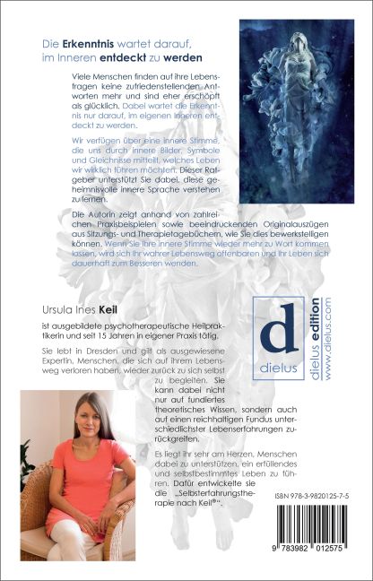 InsideView 1