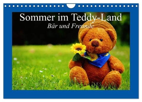 Sommer im Teddy-Land. Bär und Freunde (Wandkalender 2024 DIN A4 quer), CALVENDO Monatskalender - Elisabeth Stanzer