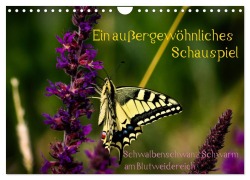 Cover-Bild zum Titel 'Ein außergewöhnliches Schauspiel (Wandkalender 2026 DIN A4 quer), CALVENDO Monatskalender' von 'Eva Ola Feix'