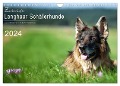 Zauberhafte Langhaar Schäferhunde (Wandkalender 2024 DIN A4 quer), CALVENDO Monatskalender - Petra Schiller