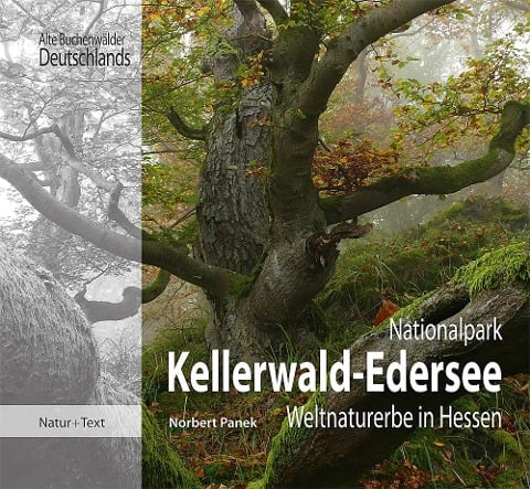 Nationalpark Kellerwald-Edersee - Norbert Panek