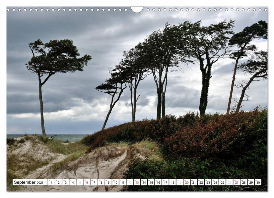 InsideView 14
