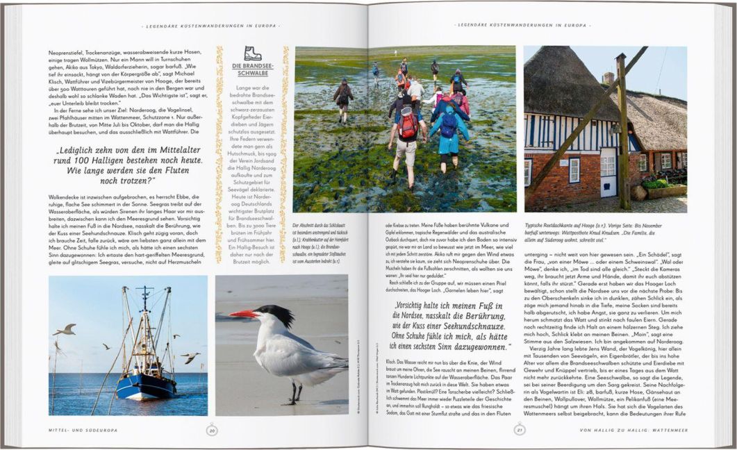 InsideView 10