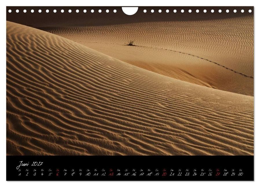 InsideView 11