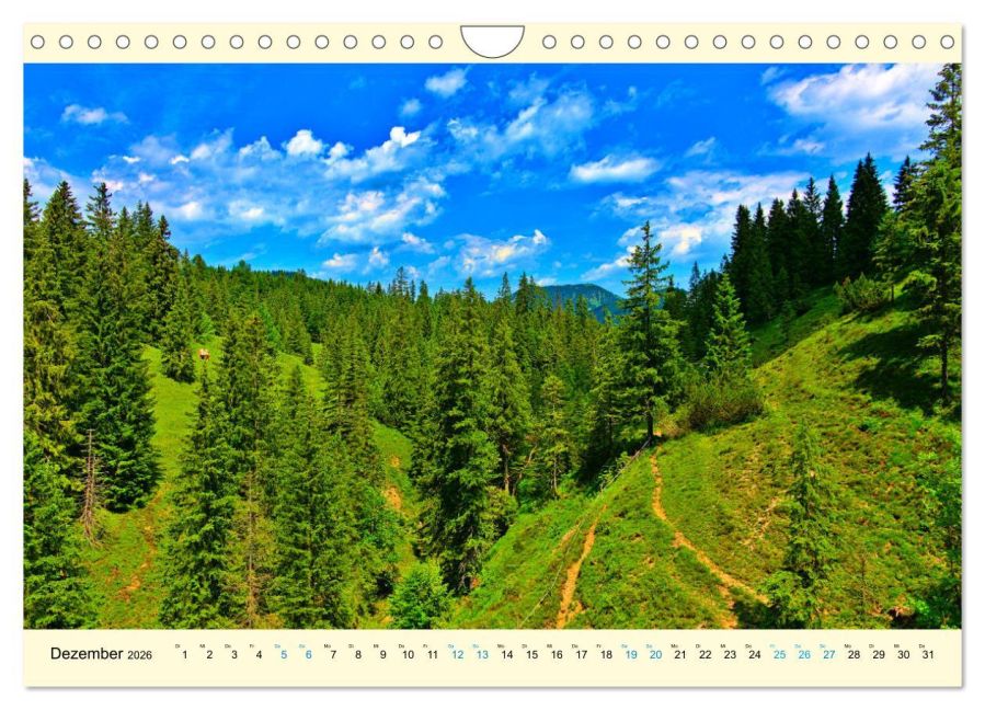InsideView 4