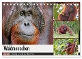 Waldmenschen - Orang Utans auf Borneo (Tischkalender 2025 DIN A5 quer), CALVENDO Monatskalender - Michael Herzog