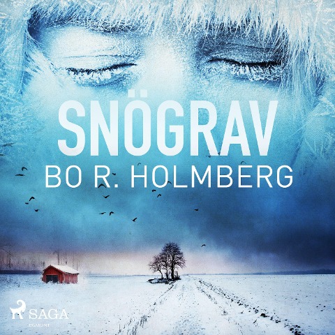 Snögrav - Bo R. Holmberg