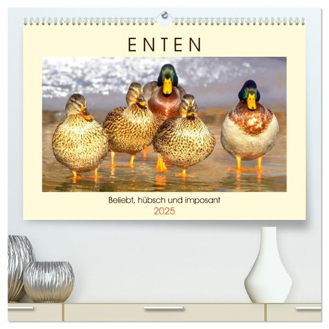 Enten. Beliebt, hübsch und imposant (hochwertiger Premium Wandkalender 2025 DIN A2 quer), Kunstdruck in Hochglanz - Rose Hurley